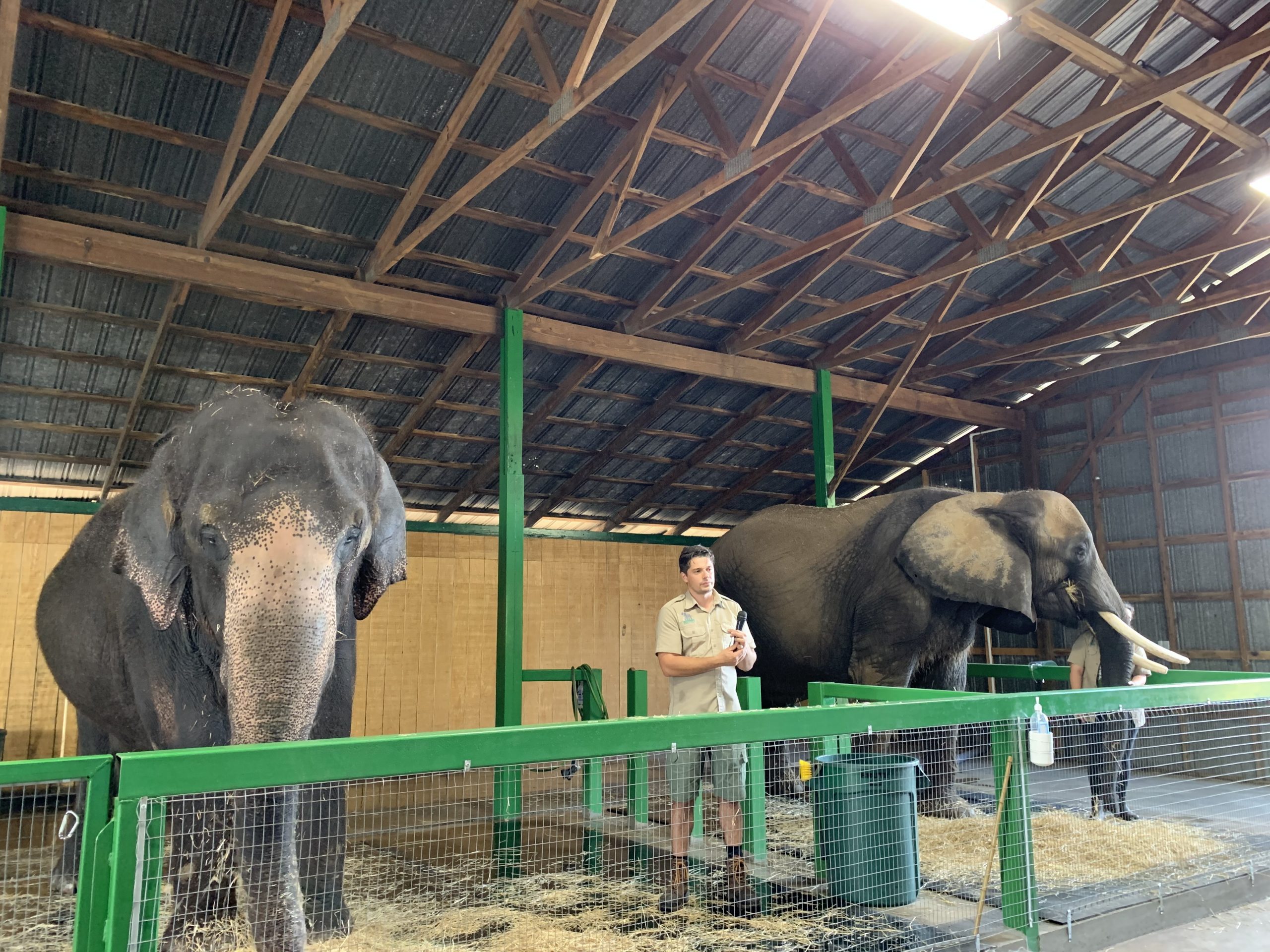 Myakka Elephant Ranch in Myakka Florida