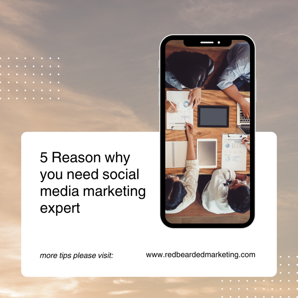  5 Reasons Why You Need a Social Media Marketing Expert